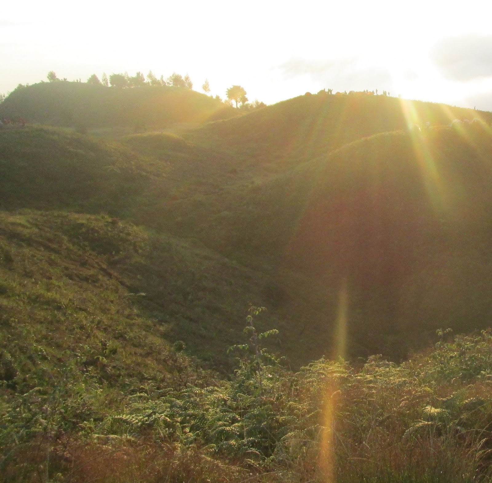 Perjuangan Demi Menikmati Sunrise Di Puncak Prau Sukaon