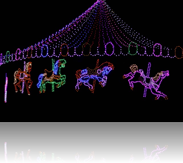 IMG_6709