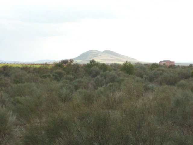 Campechos, Cerro de Alcubillas, Villanueva de los Infantes, Campo de Montiel, Castilla la Mancha