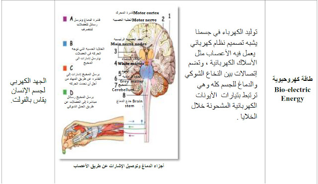 أنواع الطاقات المختلفة داخل جسم الإنسان (الطاقة الكهروحيوية)