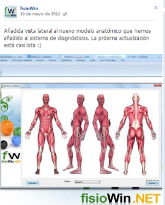 Imagen capturada de la página de fisiowin en facebook, en la que se muestran los modelos anatómicos, ya disponibles en nuevas versiones del programa