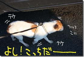 今日カズ１０１１０９　１