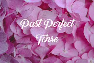 Materi, Rumus dan Contoh Kalimat Past Perfect Tense