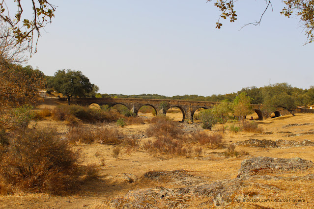 PONTE LA BOGAÑA