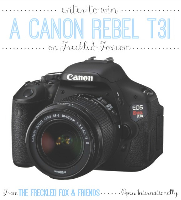 CANON REBEL T3i GIVEAWAY