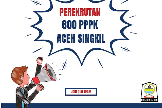 Ini Usulan Inovatif Pemerintah Kabupaten Aceh Singkil 800 PPPK untuk Meningkatkan Pelayanan Publik
