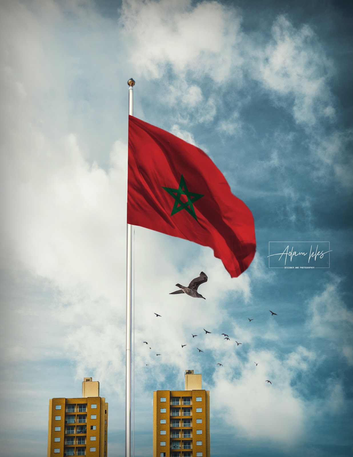  خلفية علم المغرب