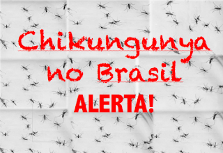 ALERTA BRASIL