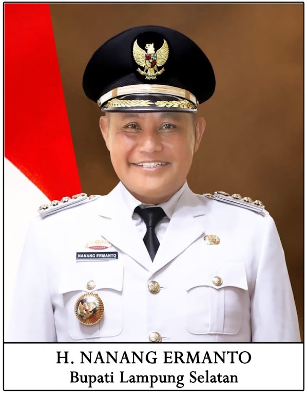 Jalan Nanang Ermanto Menuju Pilkada Selatan