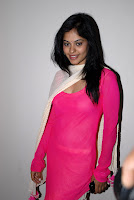 Bindhu Madhavi Hot Photos At Pilla Zamindar Audio Launch