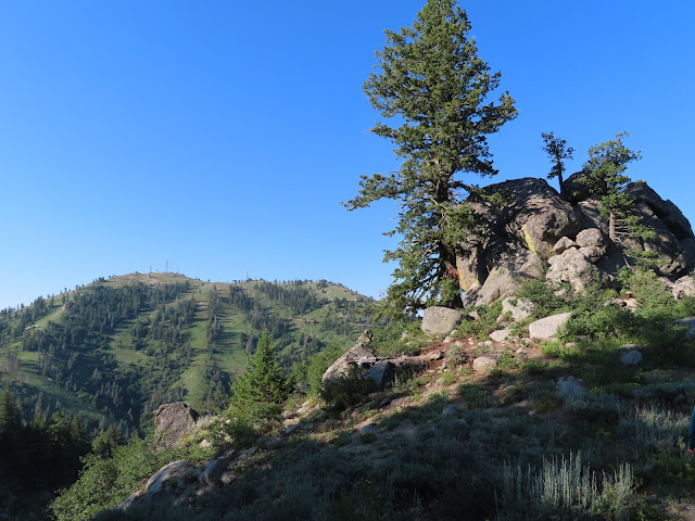 picture of Bogus Basin mountainside ski trails