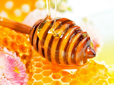 manfaat madu, khasiat untuk kesehatan