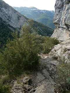 Gorges de Sant Aniol