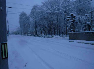 自動車道の積雪具合