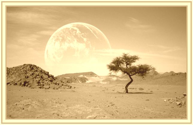Пустыни мира | Справочник