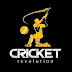 Cricket revolution 2011 Free Download