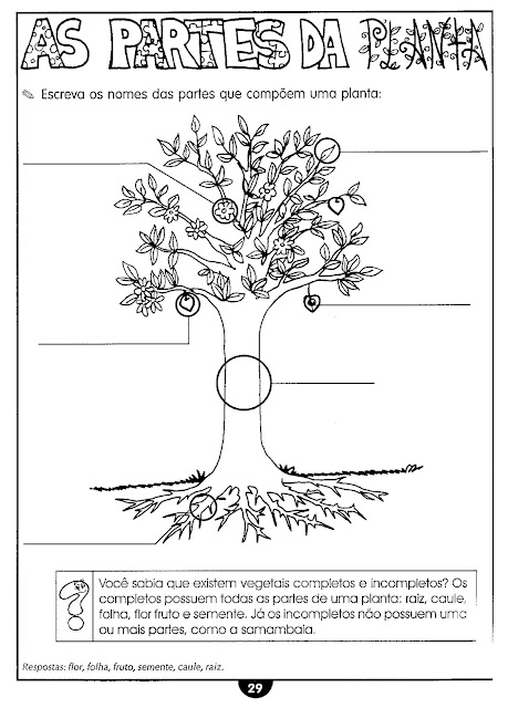 Atividades sobre plantas educação infantil