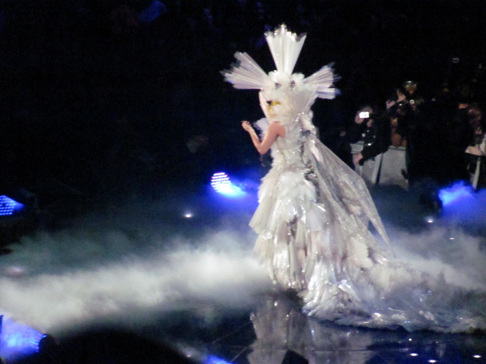 Lady Gaga Phenomenon,Lady GaGa,Celebrity Styles