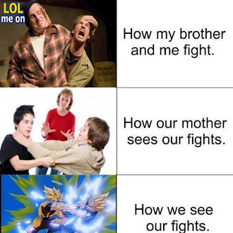 brothers fight