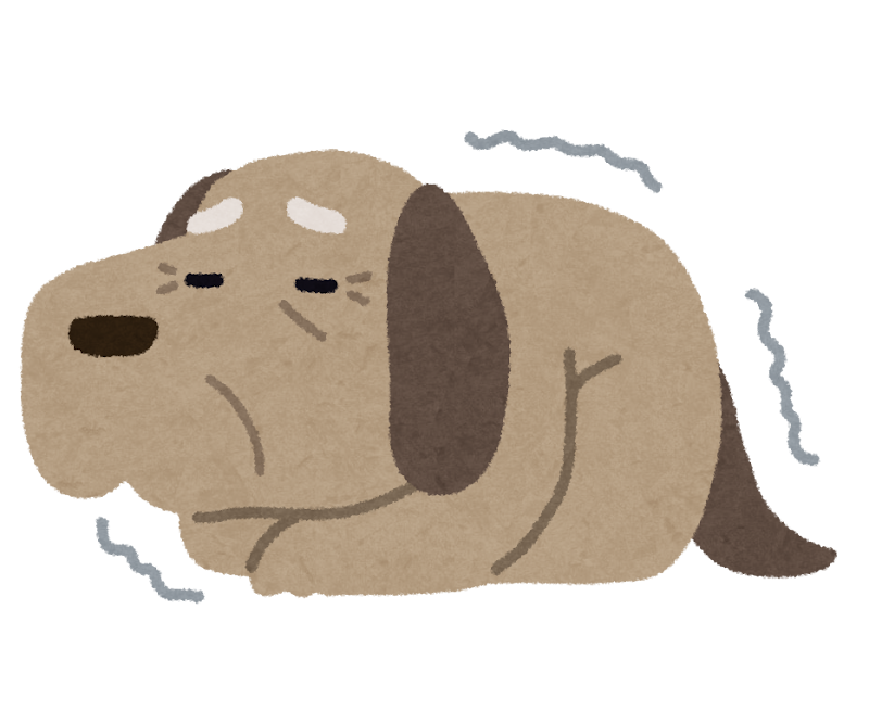老犬のイラスト かわいいフリー素材集 いらすとや 老犬のイラスト かわいいフリー素材集 いらすとや