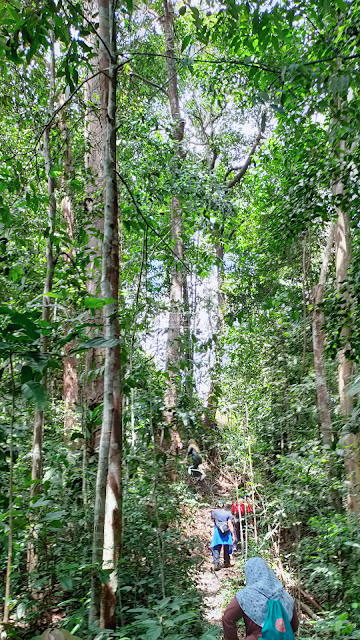 Hiking Bukit Leila Sandakan