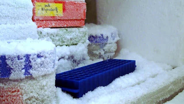 Great way to melt hard frozen ice in the fridge