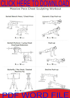 Chest Workouts