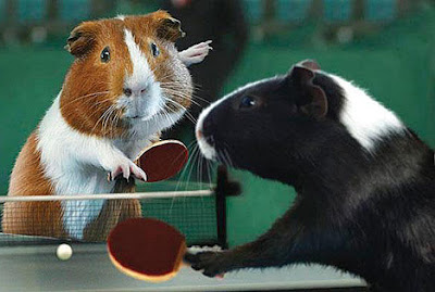 Grueling Guinea Pig Games of the 2009 Olympics