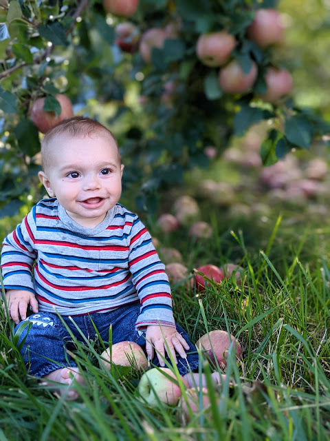 Bishops Orchards