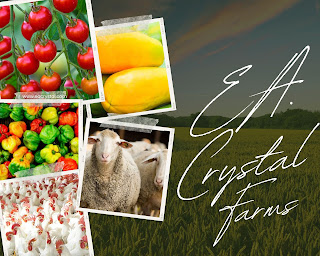 INDULGE IN THE FARM-FRESH GOODNESS OF EA CRYSTAL