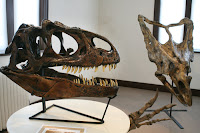 Dino Days Exhibit