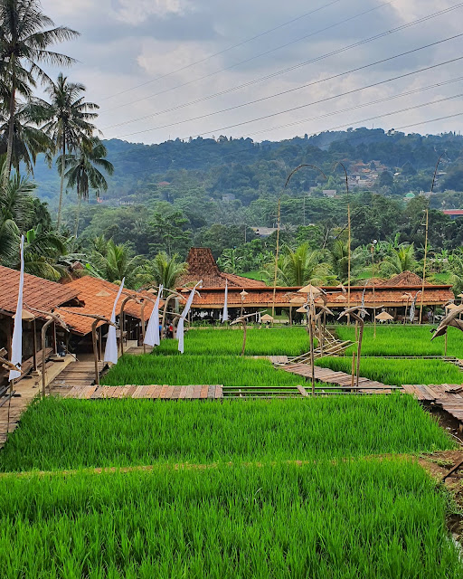 Warung kopi Ngopi di Sawah