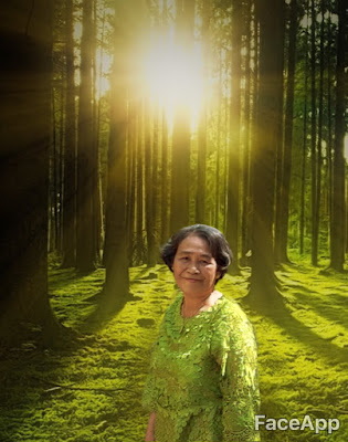 Gambar