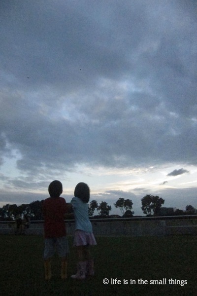 Kite7