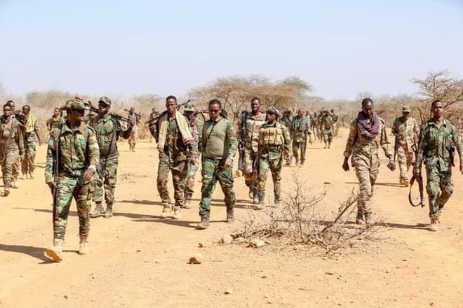 25 members of the Al-Shabaab movement, including foreigners, were killed in the Bakool region of southwestern Somalia