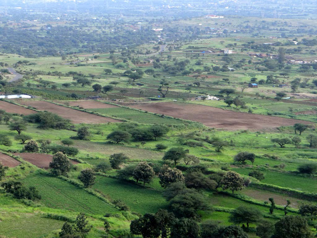 Agriculture in Maharashtra