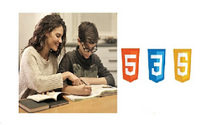 Front End Web Development Niche Website Complete Project Udemy course from studyfree.info