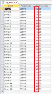 access replace fonksiyonu
