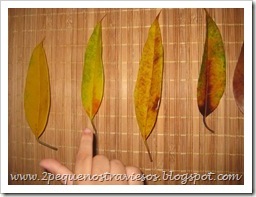 IMG_1933_thumb
