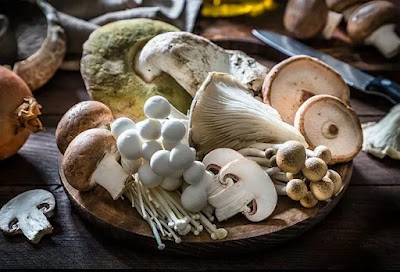 Medicinally Important Mushrooms