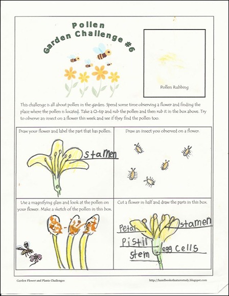 pollen challenge