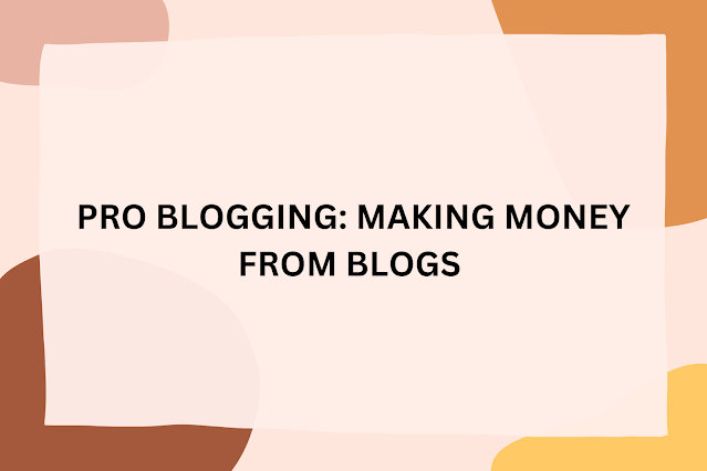 PRO BLOGGING: MAKING MONEY FROM BLOGS