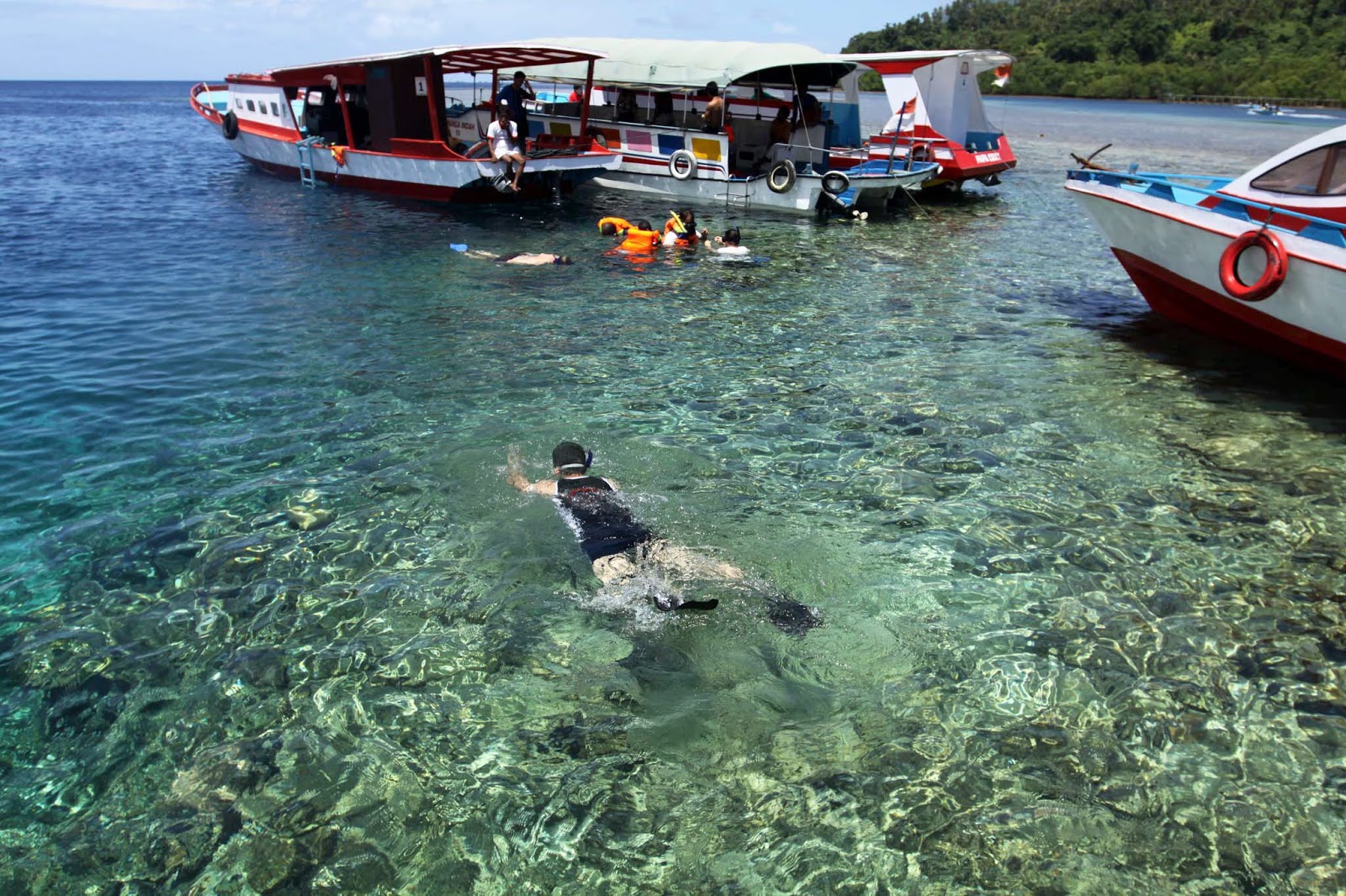 diving dan snorkling di bunaken