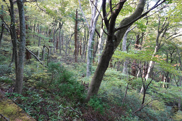 鳥取県西伯郡大山町大山　寂静山登山道からの眺望