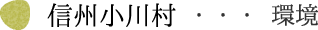 信州小川村・・・環境