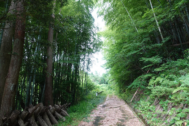 米子市淀江町本宮集落から本宮稲吉線に抜ける小さな道を探しました