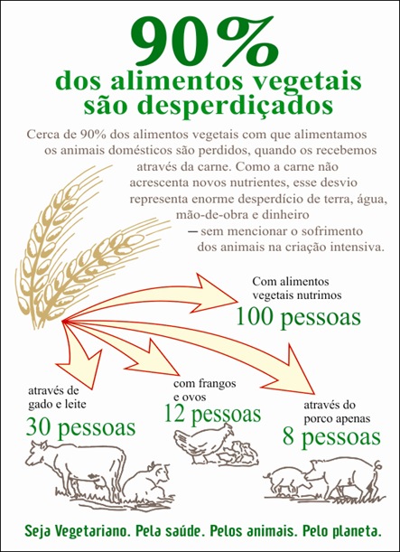 desperdicio2