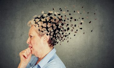 Memory Loss in Older Adults 