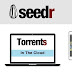Break the Torrent Limits with Seedr 