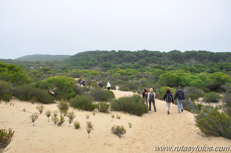 Laguna del Jaral - El Asperillo